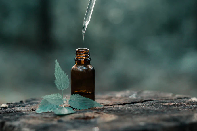 Benefits of Essential Oils: Enhance Your Skincare Routine with SCRUBD