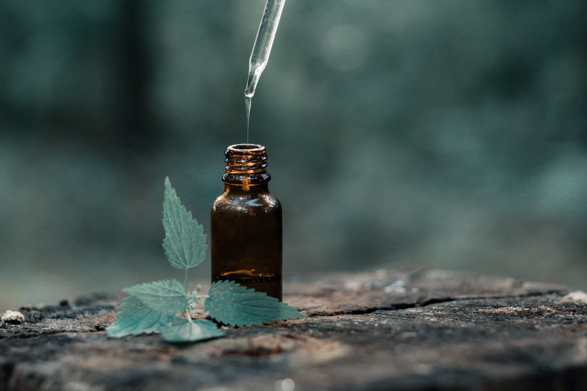 Essential oils are key in SCRUBD's all-natural men's skincare. Each oil, chosen for its benefits, addresses grooming challenges. Patchouli balances skin, while Peppermint invigorates, soothing and protecting skin naturally. SCRUBD uses these oils for luxurious grooming, helping men look and feel their best naturally.